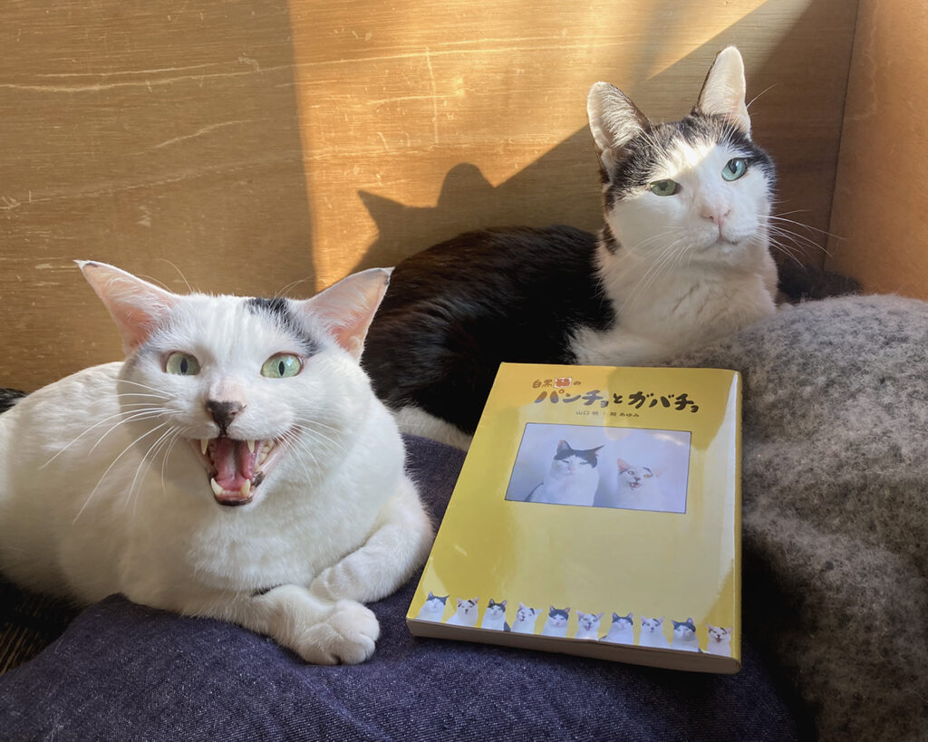 0222-5 | みなさん、見てくださいね。よろしくお願いいたしますー。