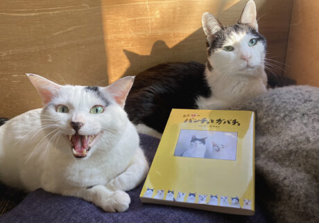 0222-5 | みなさん、見てくださいね。よろしくお願いいたしますー。