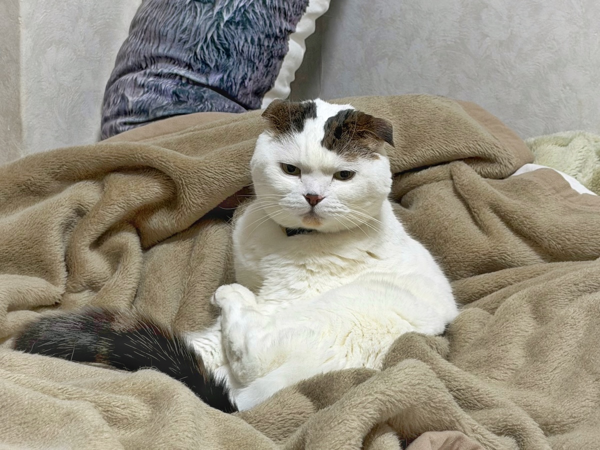 怒っているわけではありません。【いなほ、オレ物語。vol.272】