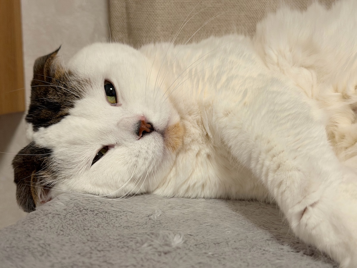 オレがいびきをかく理由。【いなほ、オレ物語。vol.273】