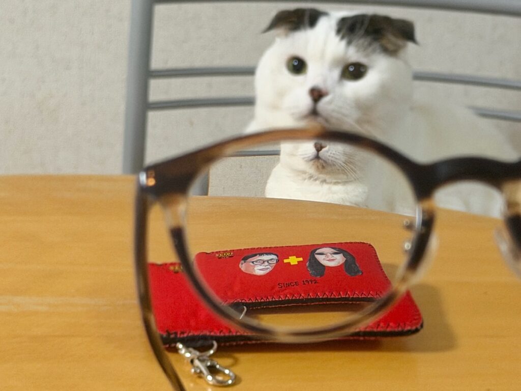 なんか、思ってたんと違う。スコティッシュフォールド いなほ | 飼い主の敬愛するお二人、いとうせいこうさんとみうらじゅんさん！ 二人ともメガネやね。オレもメガネ、かけたいかも！！
