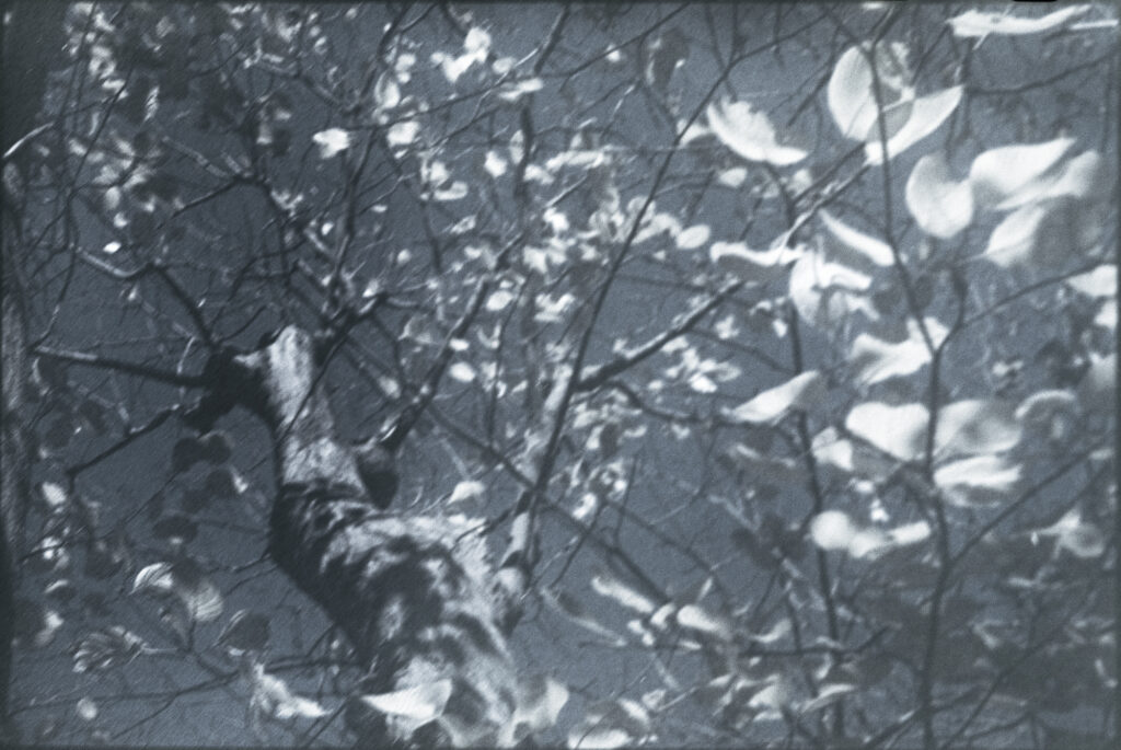 1. Choosing the quiet side