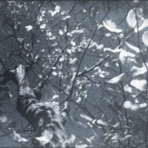 1. Choosing the quiet side | Choosing the quiet side