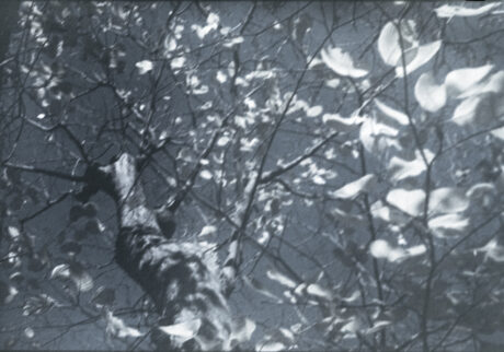 1. Choosing the quiet side | Choosing the quiet side 1. Choosing the quiet side | Choosing the quiet side