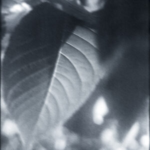 3. The day passed quietly | The day passed quietly