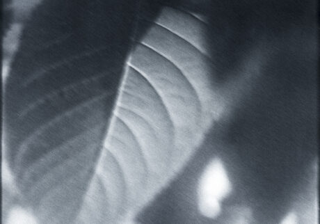 3. The day passed quietly | The day passed quietly