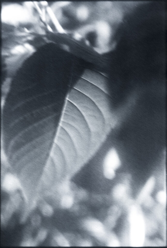 3. The day passed quietly