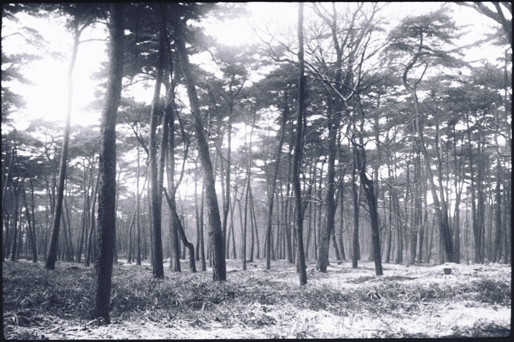 5. 静けさの中でいちばん多くのことを受け取っていた