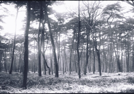 5. 静けさの中でいちばん多くのことを受け取っていた | 静けさの中でいちばん多くのことを受け取っていた