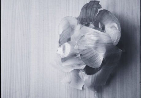 7. Staying with what is left |  Staying with what is left