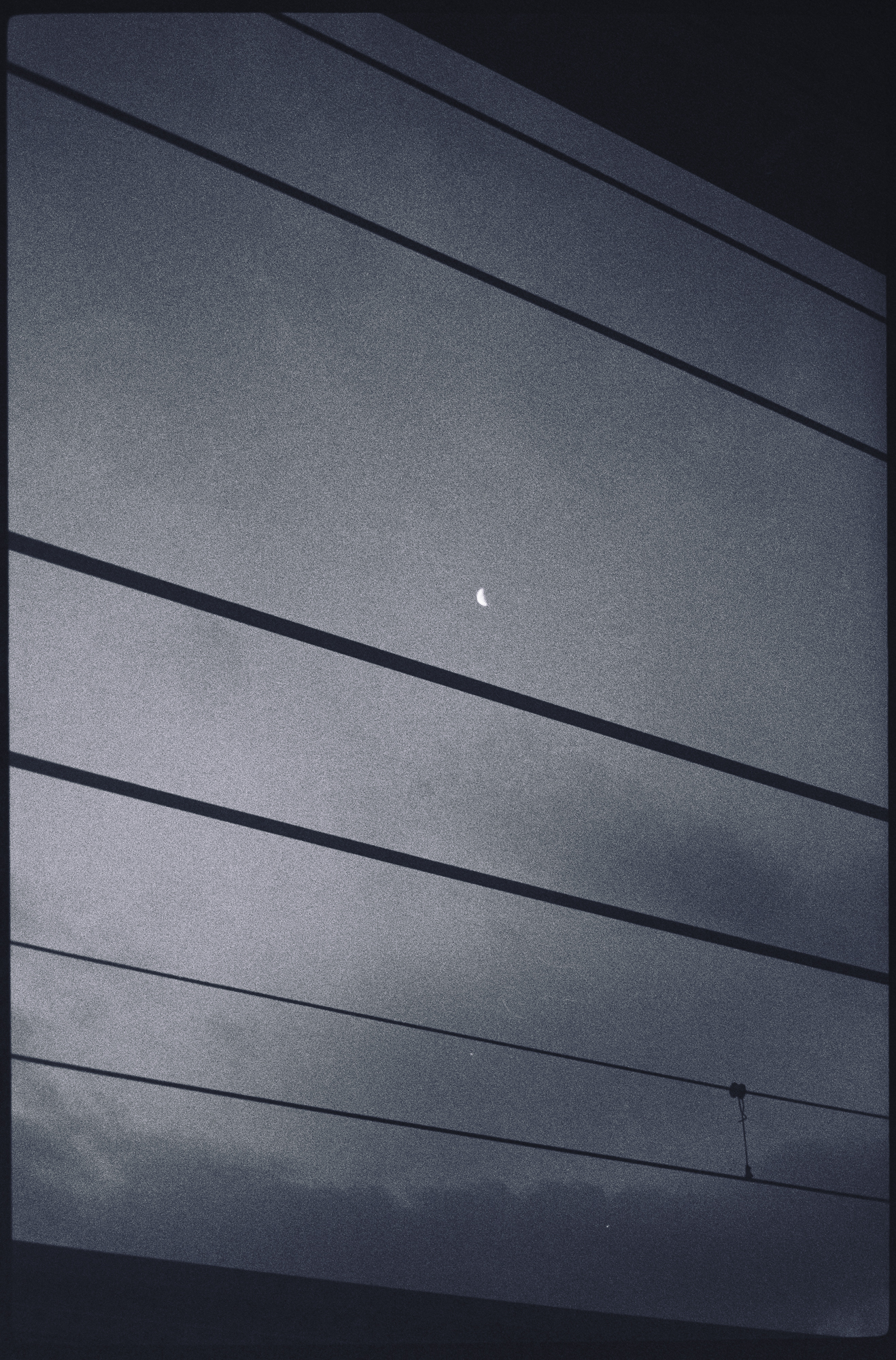 今月の写真家、今日の一枚。原田 真治 vol.8