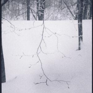 10. At the edge of winter | At the edge of winter