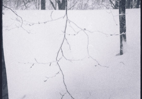 10. At the edge of winter | At the edge of winter 10. At the edge of winter | At the edge of winter