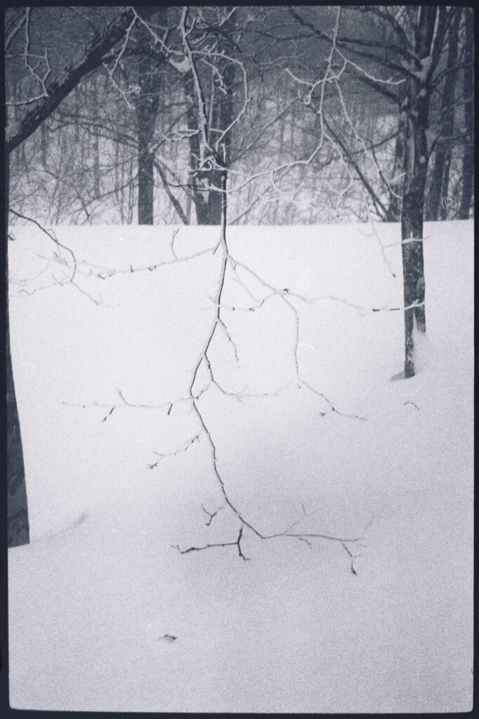 10. At the edge of winter