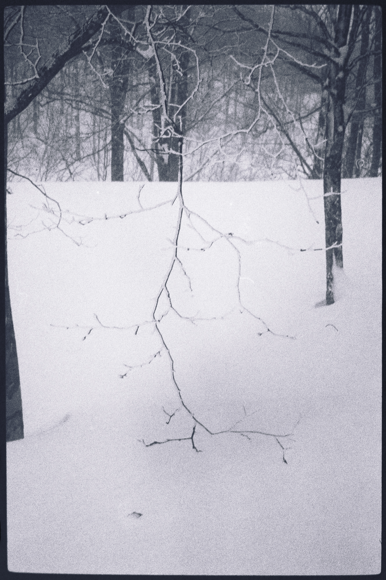 今月の写真家、今日の一枚。原田 真治 vol.10