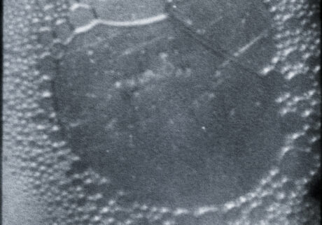 11. Facing the open sea | Facing the open sea