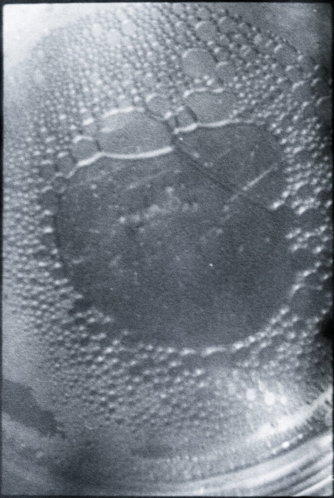 11. Facing the open sea