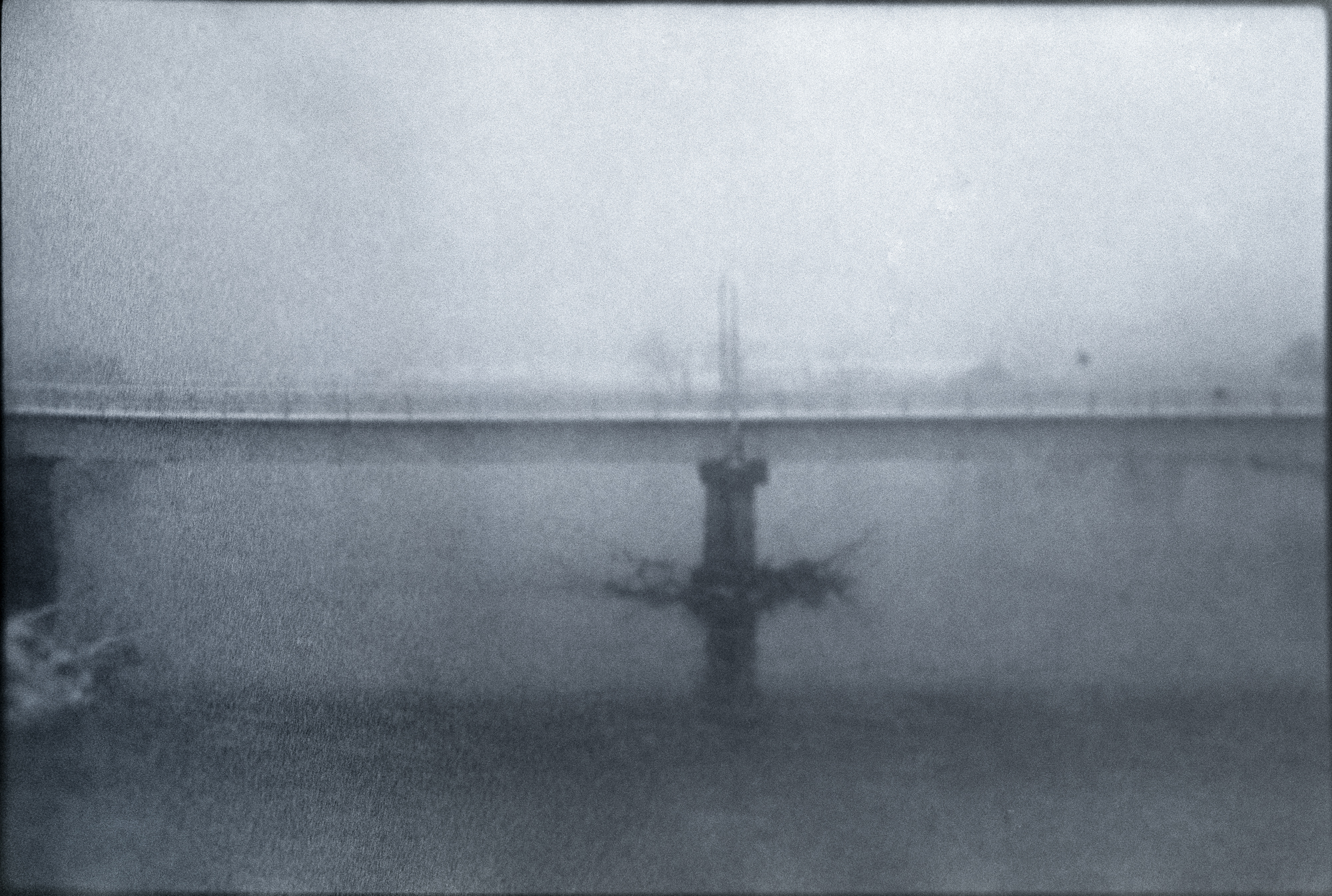 今月の写真家、今日の一枚。原田 真治 vol.12