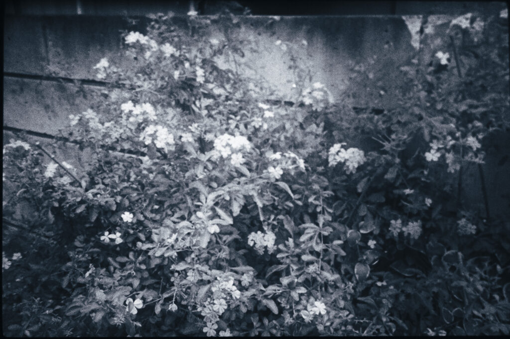 16. A distance line ob sight | A distance line ob sight 16. A distance line ob sight