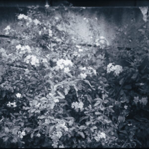 16. A distance line ob sight |  A distance line ob sight