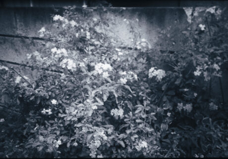 16. A distance line ob sight | A distance line ob sight 16. A distance line ob sight | A distance line ob sight