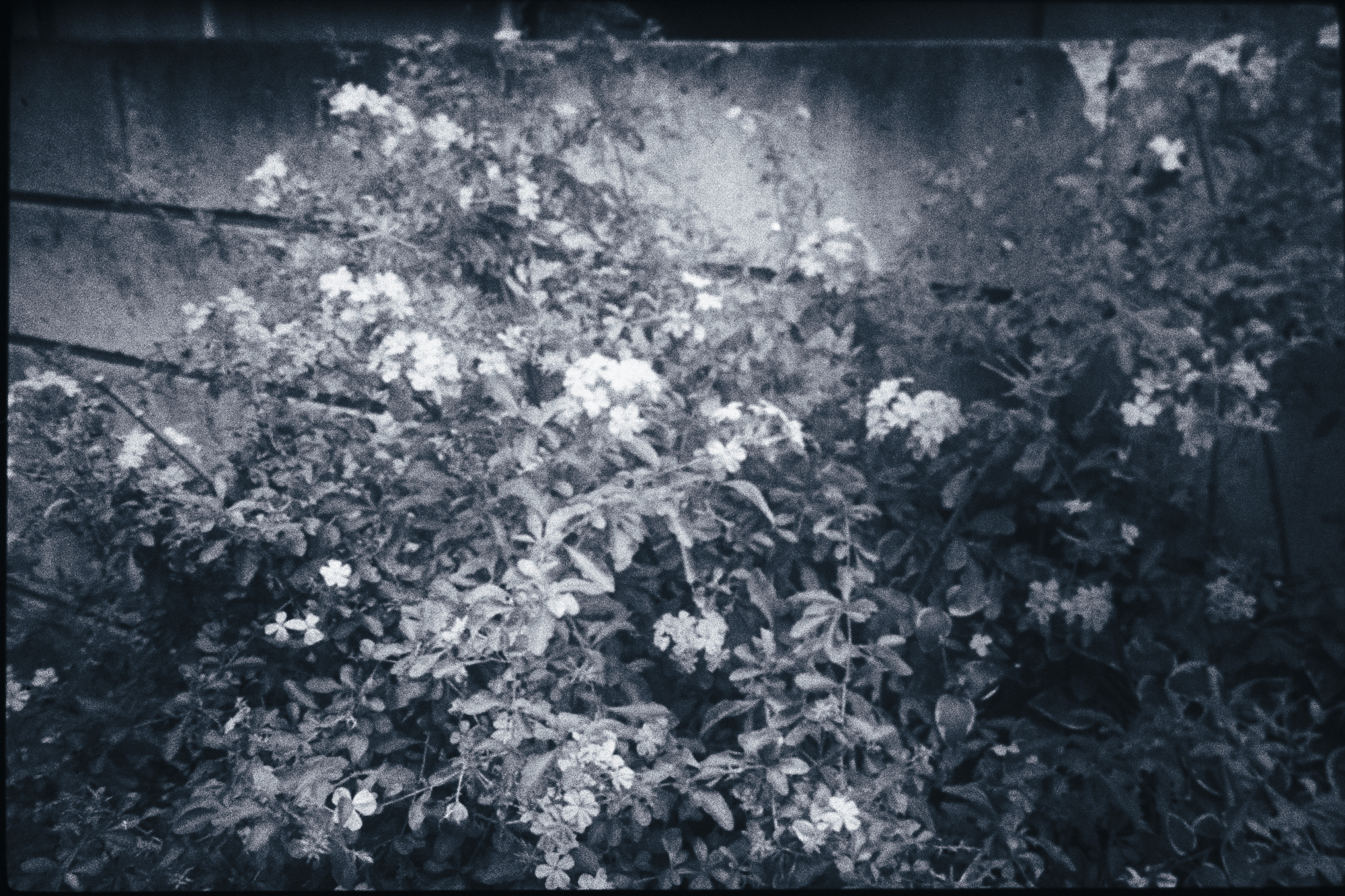 今月の写真家、今日の一枚。原田 真治 vol.16