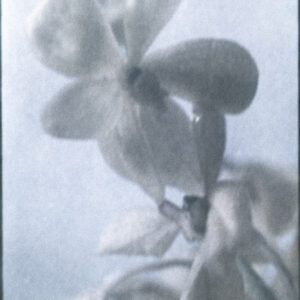 17. Dwelling, poetically | Dwelling, poetically