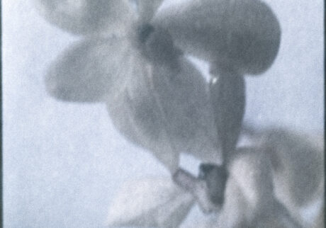 17. Dwelling, poetically | Dwelling, poetically 17. Dwelling, poetically | Dwelling, poetically