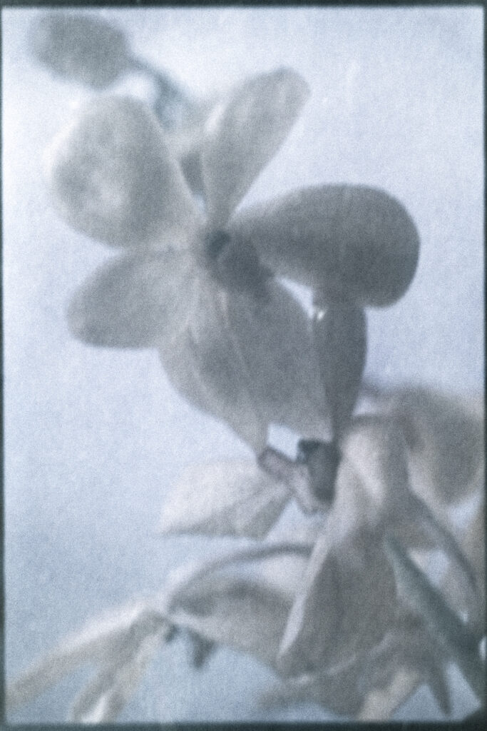 17. Dwelling, poetically