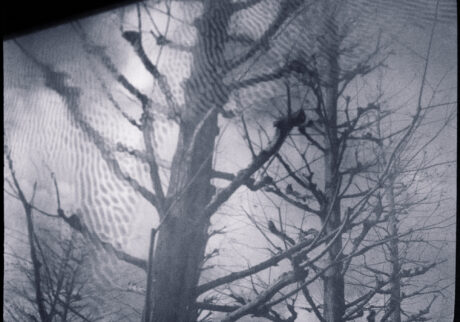 19. Not inside, not outside |  Not inside, not outside