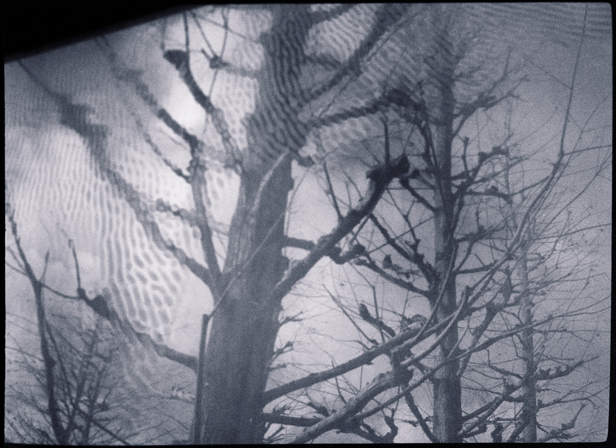 今月の写真家、今日の一枚。原田 真治 vol.19