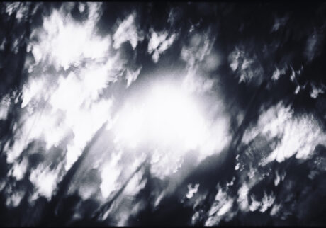 20. さすらいの身で、見ているものに残酷なほど素直に反応する | さすらいの身で、見ているものに残酷なほど素直に反応する