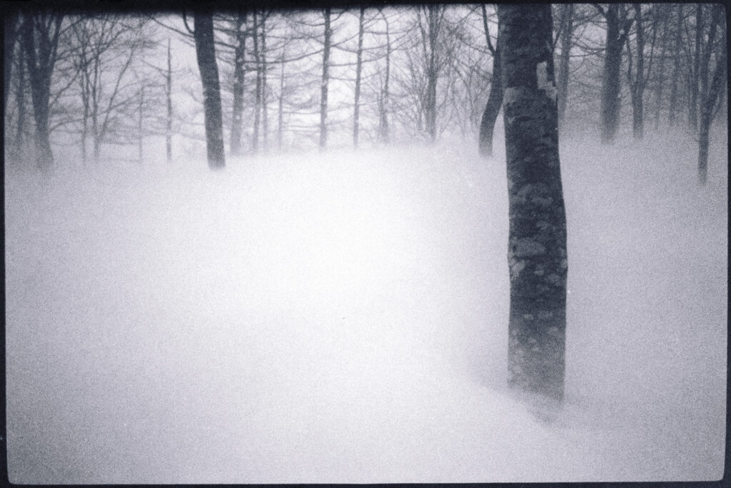 21. Between snow and silence