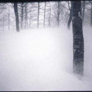 21. Between snow and silence | Between snow and silence