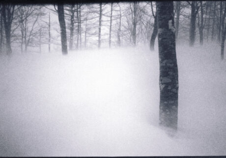 21. Between snow and silence | Between snow and silence 21. Between snow and silence | Between snow and silence