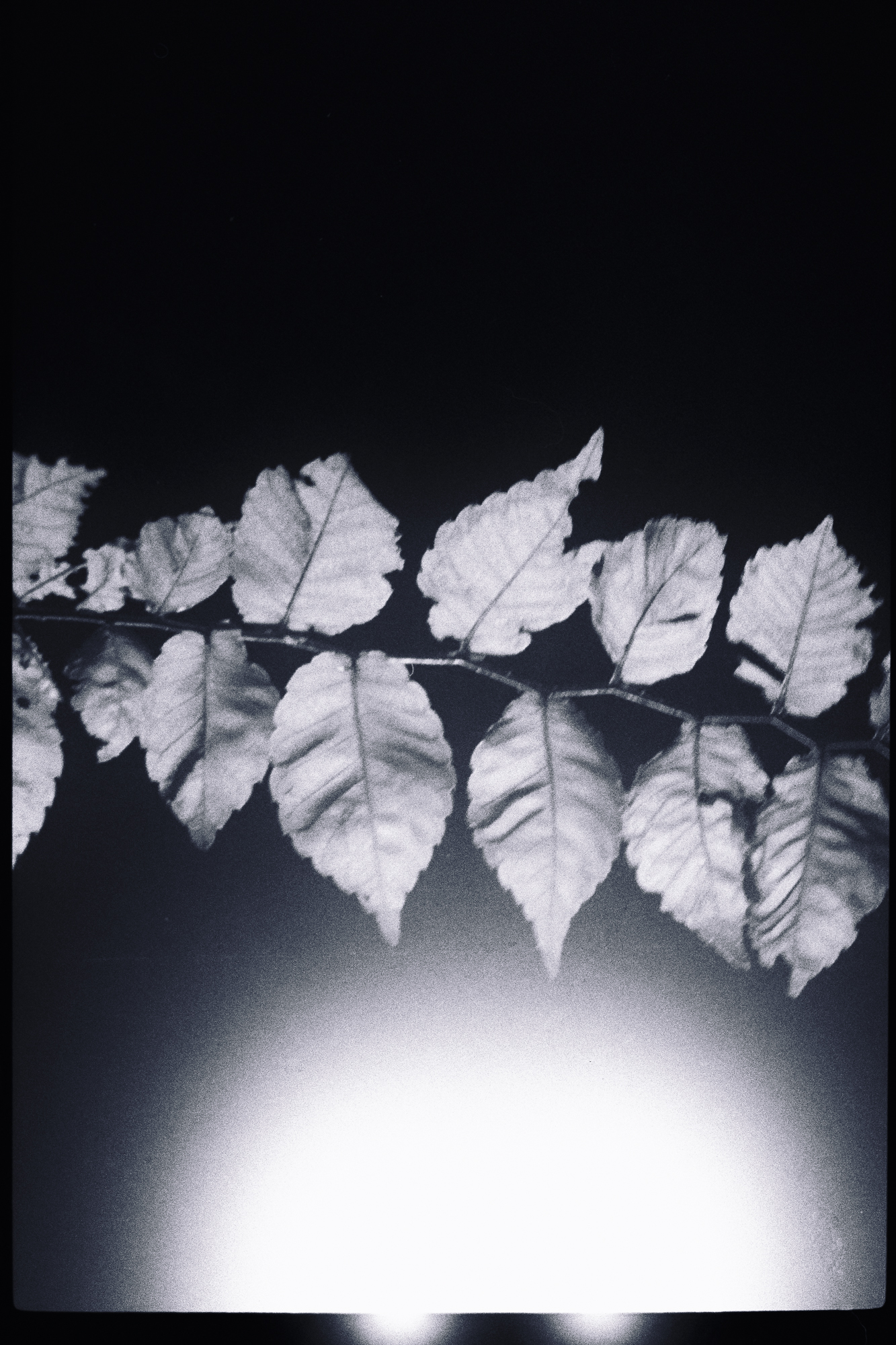 今月の写真家、今日の一枚。原田 真治 vol.26