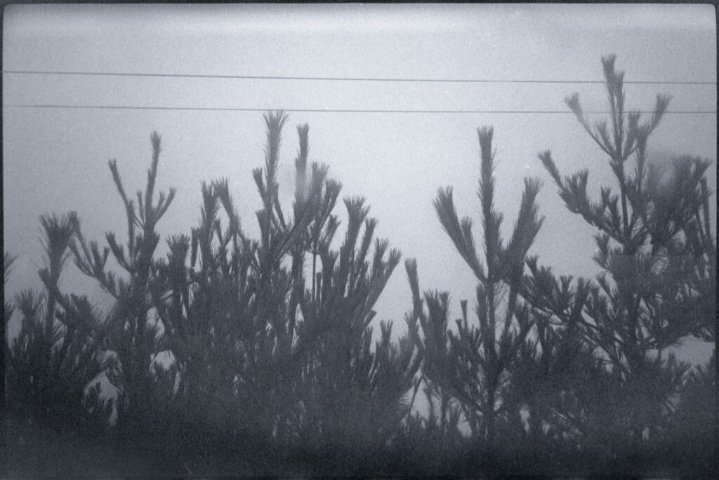 27. I don’t belong here | I don't belong here 27. I don't belong here