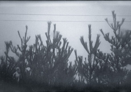 27. I don’t belong here | I don't belong here 27. I don’t belong here | I don't belong here