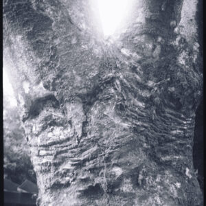 28. Going deeper,not louder | Going deeper,not louder