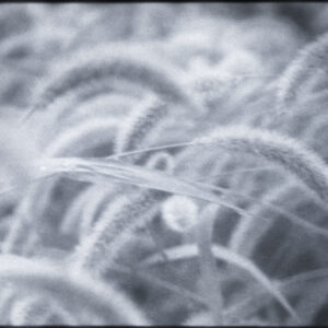 29. A moment before fading | A moment before fading