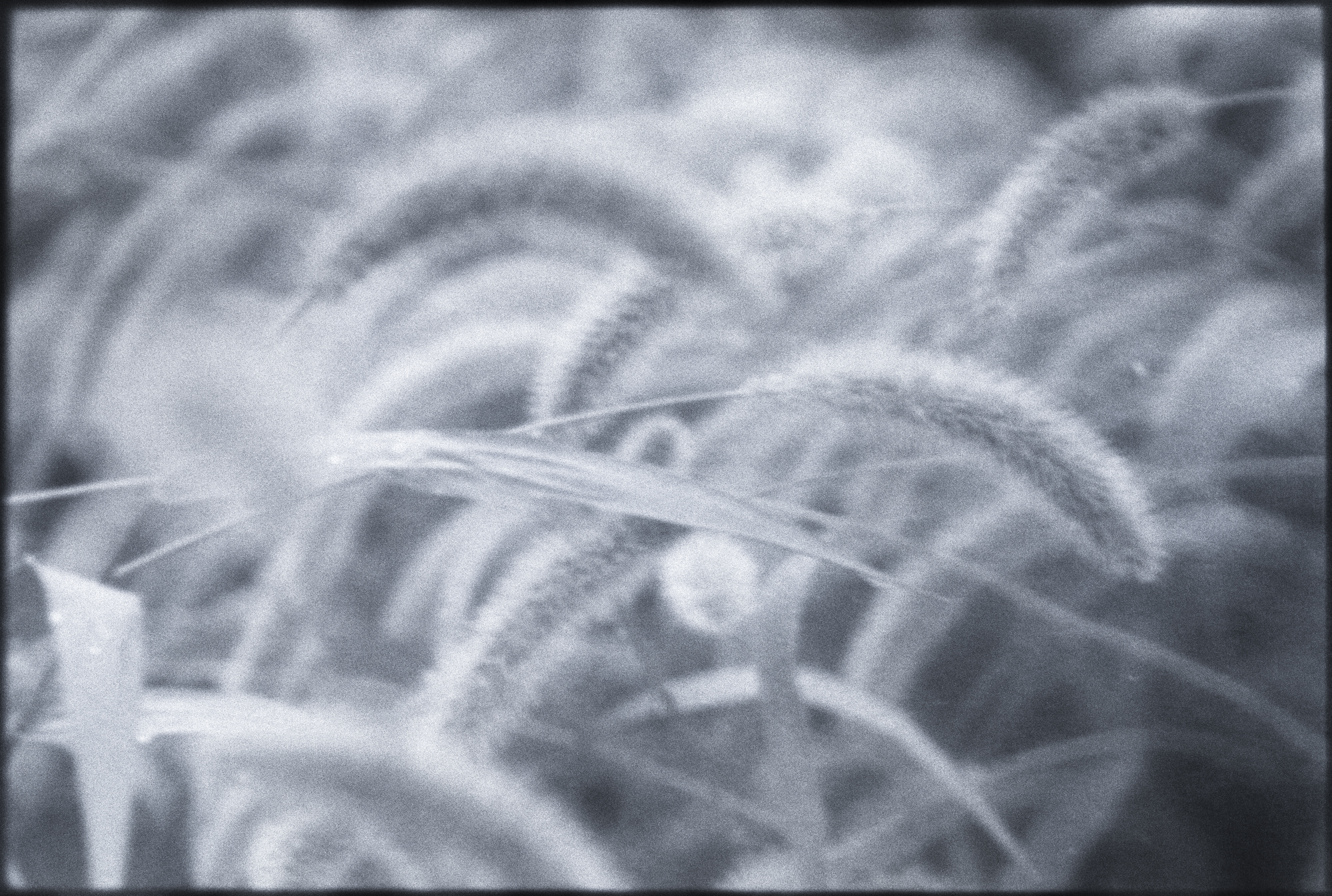 今月の写真家、今日の一枚。原田 真治 vol.29