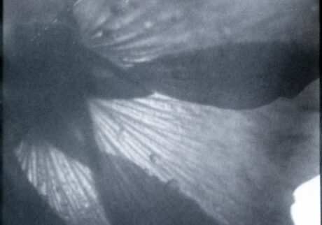 30. 音が消えたあとに風景だけが残った | 音が消えたあとに風景だけが残った