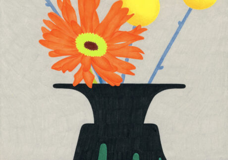 148-illustrator-4 | ガーベラとクラスペディア