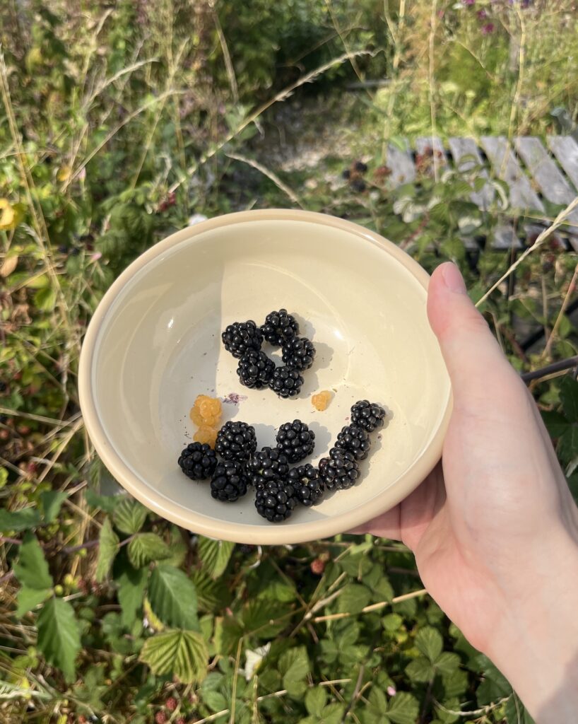 心を通わす、お茶の時間。イギリスでのお茶酔い旅。写真と文:後藤景太郎 (『茶酔 (ochayoi) 』主宰) #3 心を通わす、お茶の時間。イギリスでのお茶酔い旅。写真と文:後藤景太郎 (『茶酔 (ochayoi) 』主宰) #3
