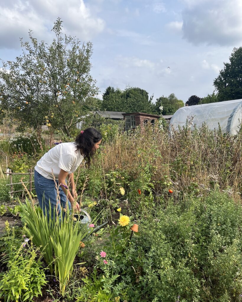 心を通わす、お茶の時間。イギリスでのお茶酔い旅。写真と文:後藤景太郎 (『茶酔 (ochayoi) 』主宰) #3 心を通わす、お茶の時間。イギリスでのお茶酔い旅。写真と文:後藤景太郎 (『茶酔 (ochayoi) 』主宰) #3