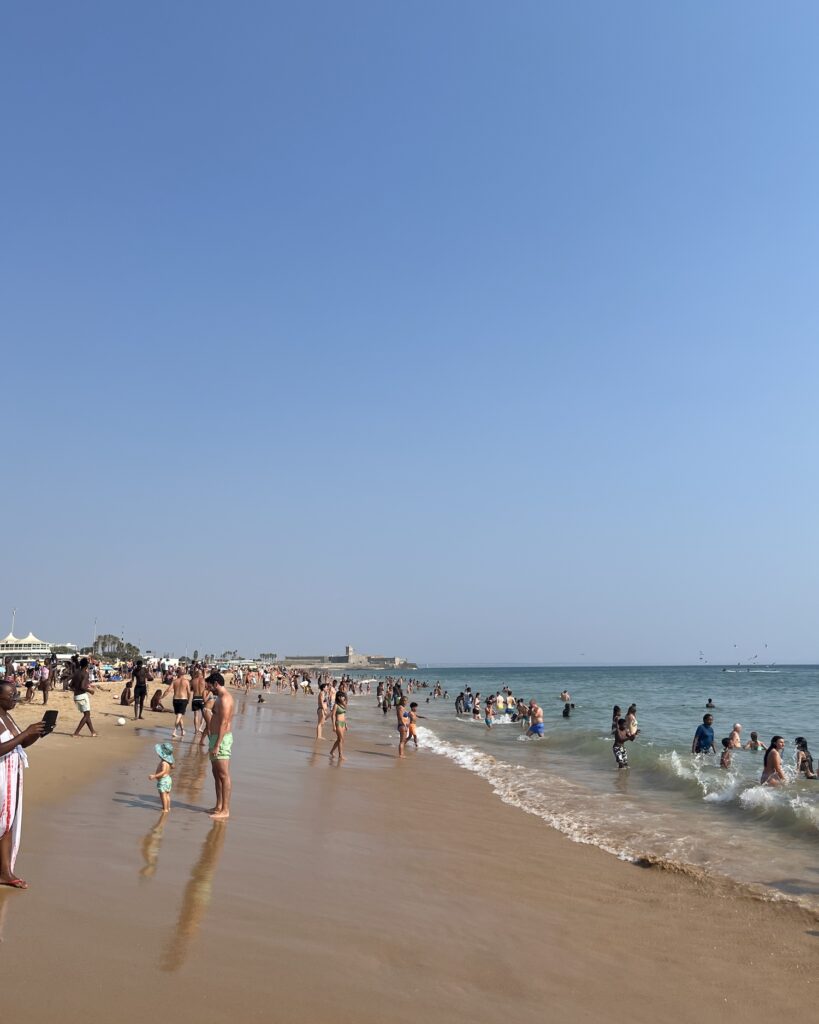 茶の雑誌『Eighty Degrees Magazine』を手がけるあの人に会いに、ポルトガルへ。写真と文:後藤景太郎 (『茶酔 (ochayoi) 』主宰) #4 茶の雑誌『Eighty Degrees Magazine』を手がけるあの人に会いに、ポルトガルへ。写真と文:後藤景太郎 (『茶酔 (ochayoi) 』主宰) #4