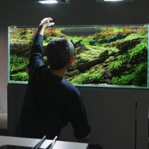 日々のメンテナンス。生活の中の水草水槽。写真と文：タナカカツキ (マンガ家) #4 | 日々のメンテナンス。