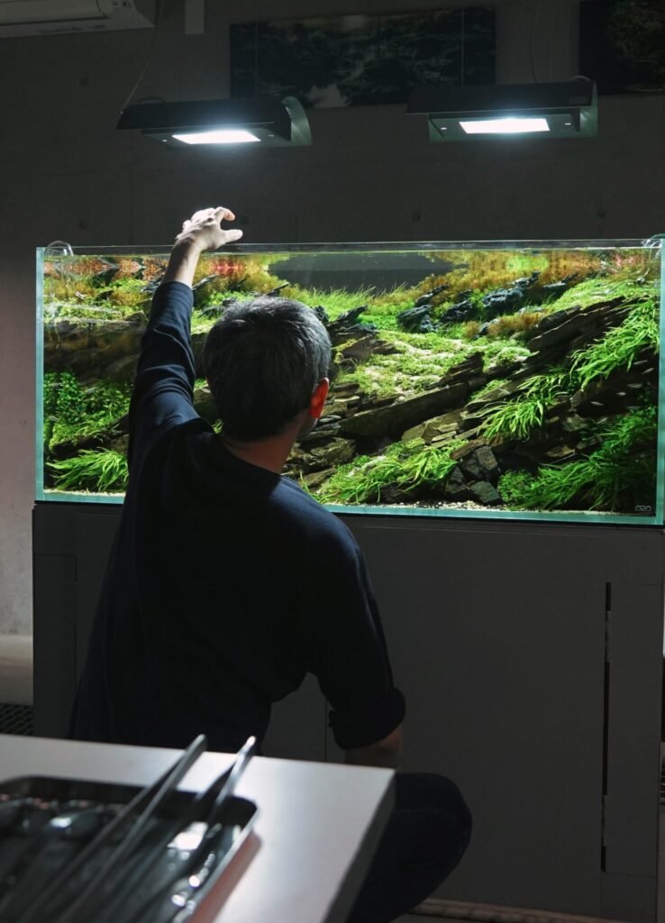 日々のメンテナンス。生活の中の水草水槽。写真と文：タナカカツキ (マンガ家) #4 | 日々のメンテナンス。
