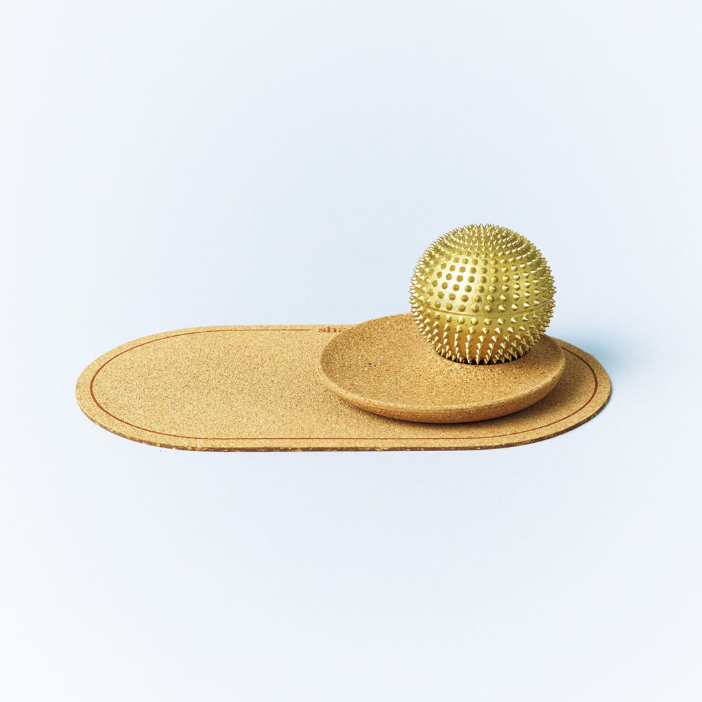 2.Wonderball _ Shakti Japan