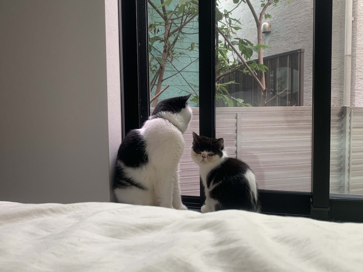 教えて、お父ちゃん。【ちろり、スターへの道のり。vol.11】